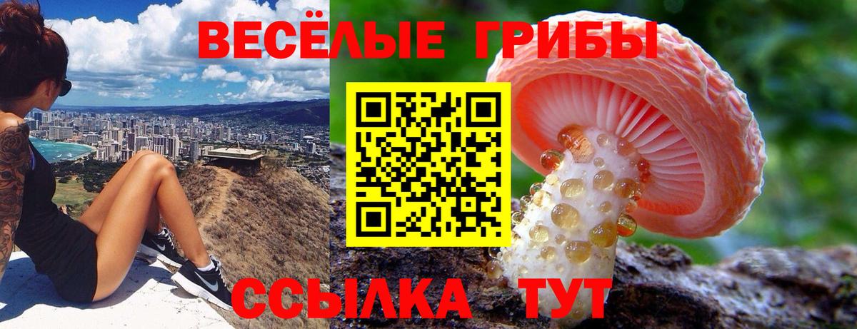Южно-Сахалинск  Галлюциногенные грибы MAGIC MUSHROOMS  Вход с VPN  сколько стоит  Галлюциногенные грибы MAGIC MUSHROOMS 