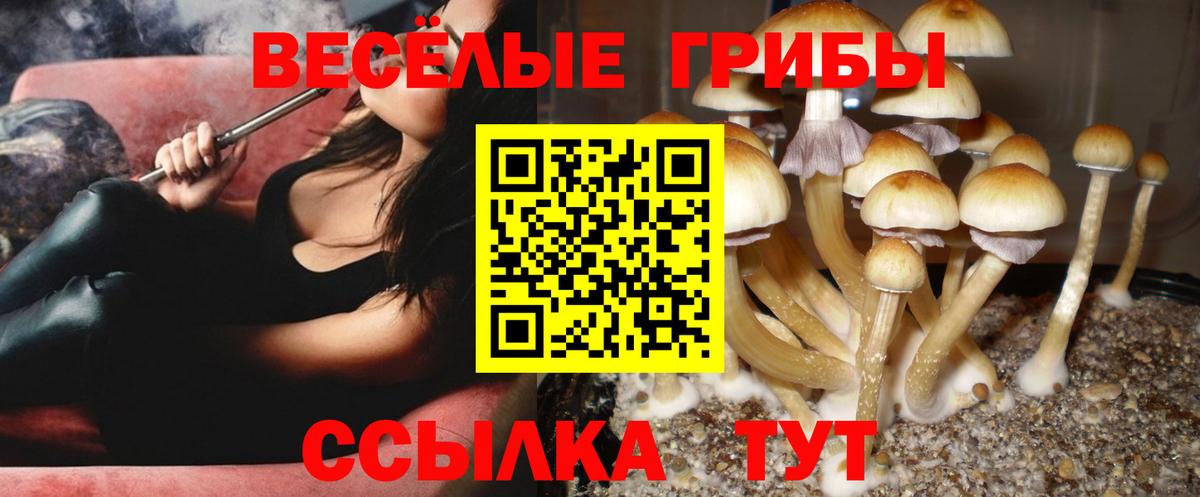 Галлюциногенные грибы мухоморы Южно-Сахалинск